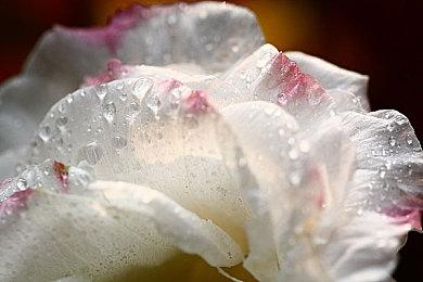 单人科幻游戏《火星孤征》新视频 美女冒险探索